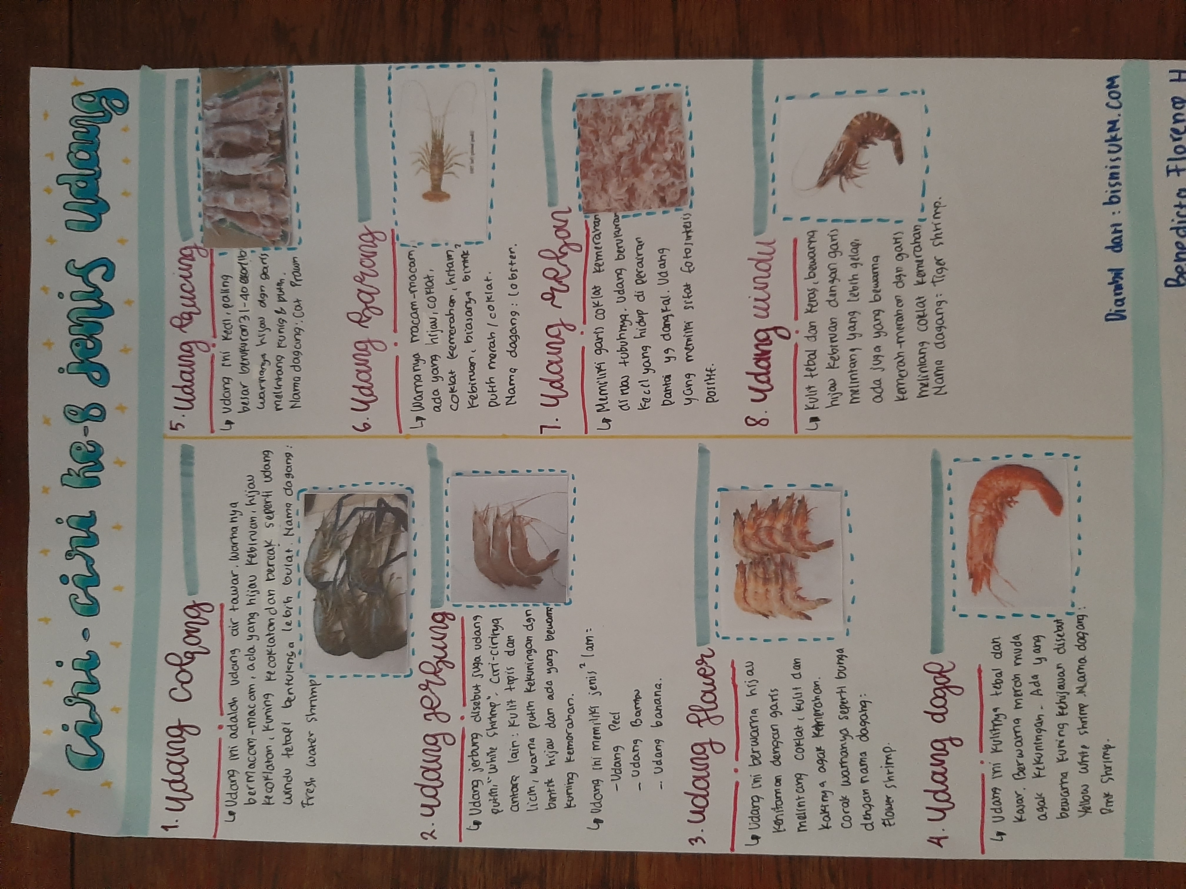 Sampul