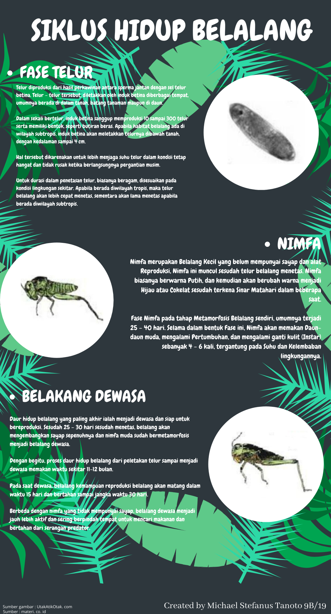 Sampul
