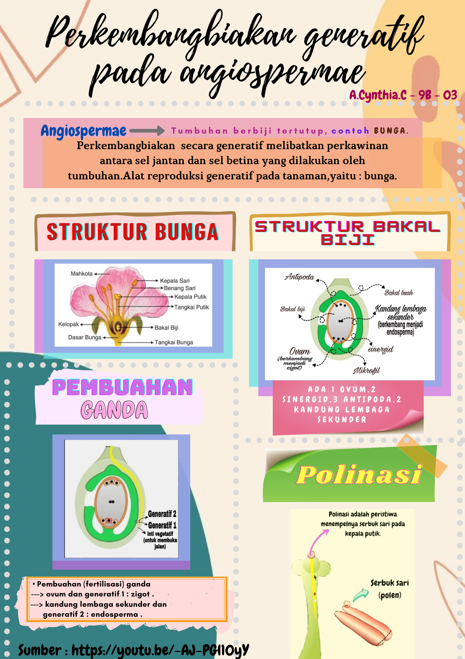 Sampul
