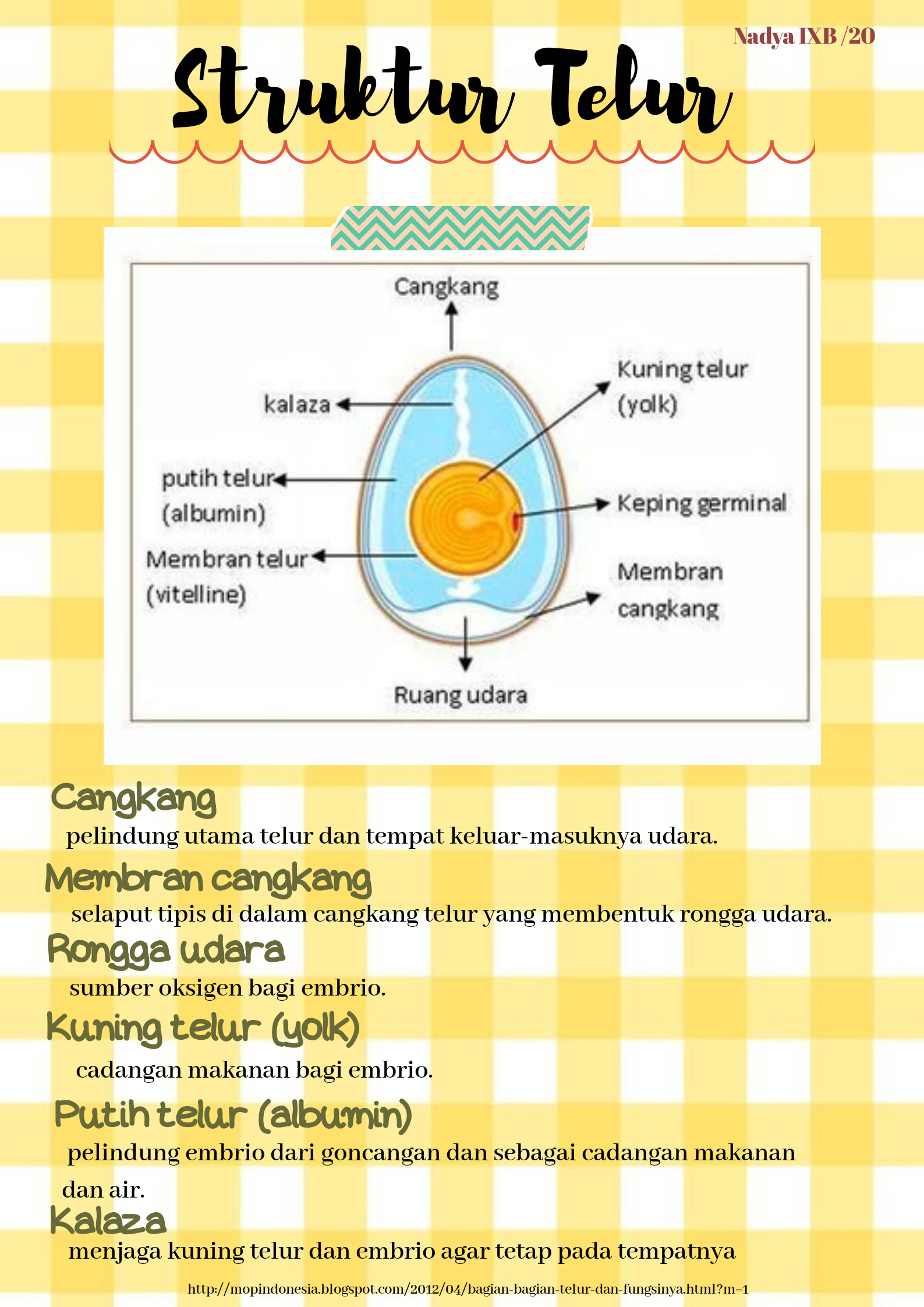 Sampul