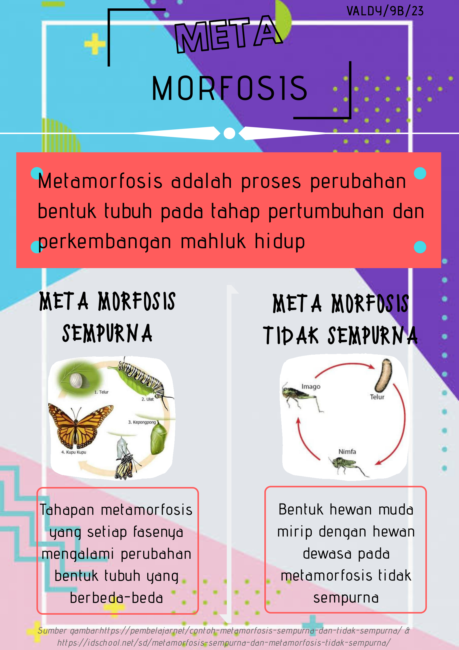 Sampul