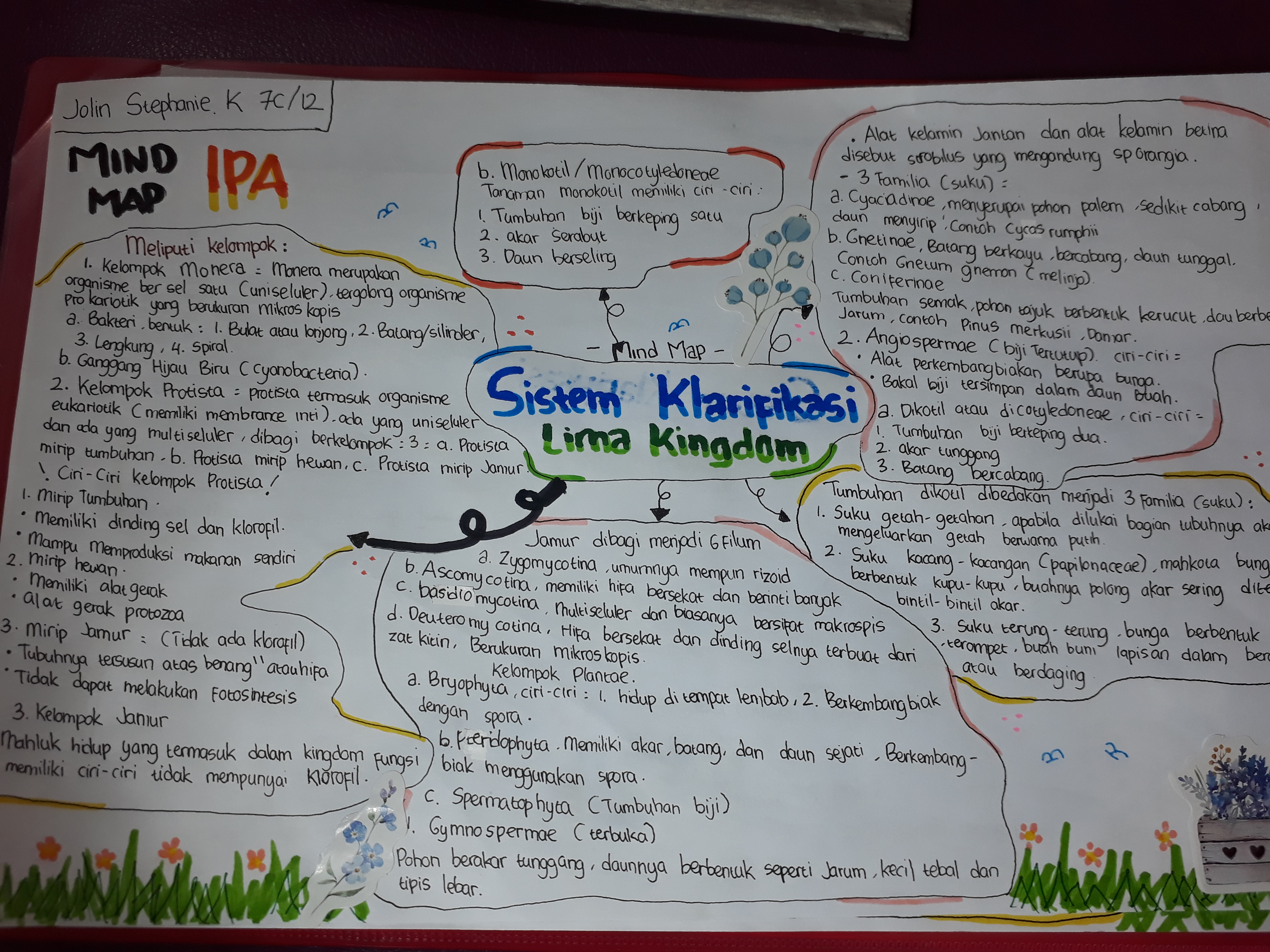 Sampul