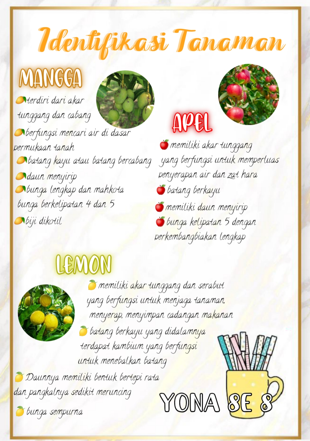 Sampul
