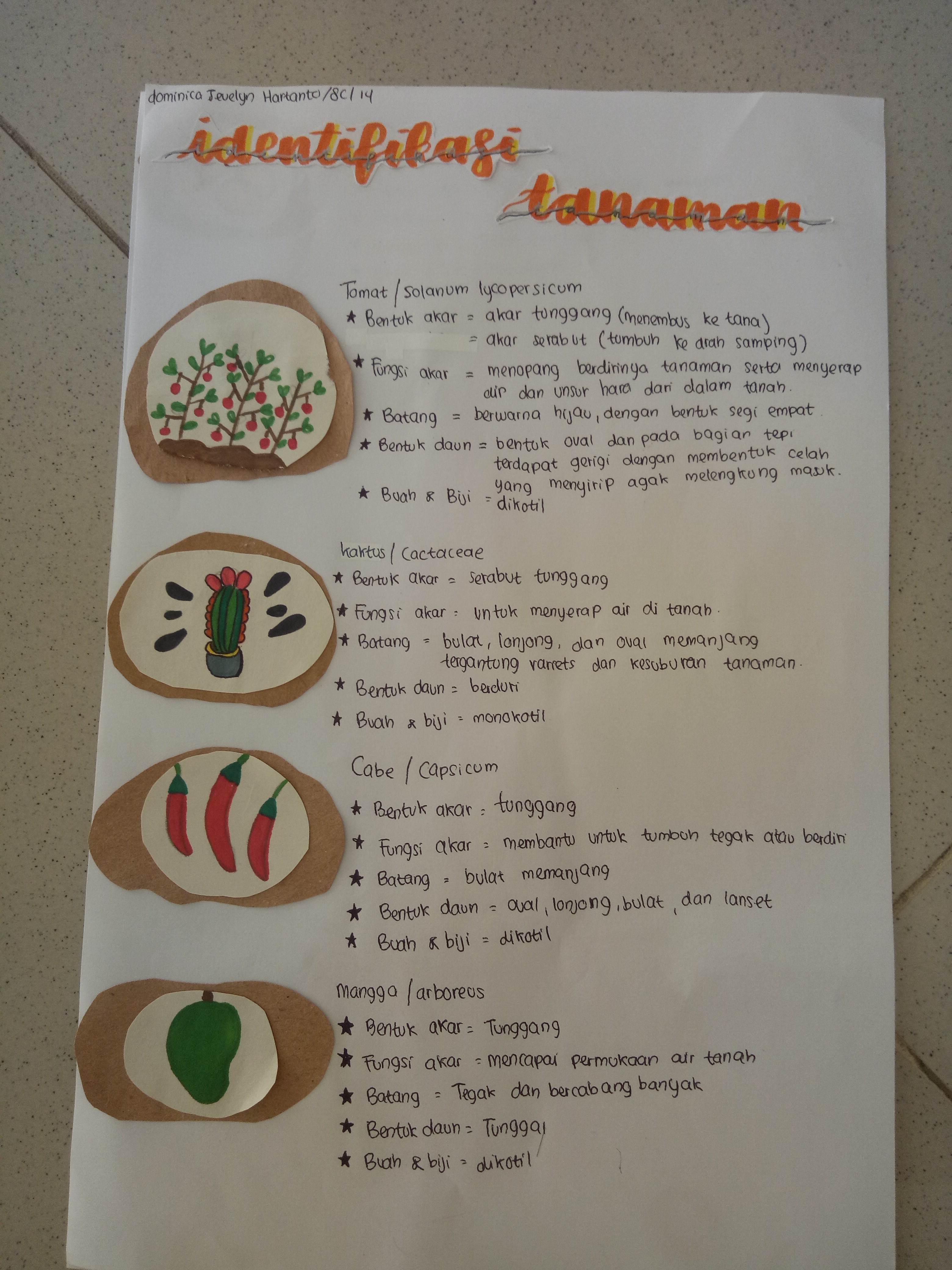 Sampul
