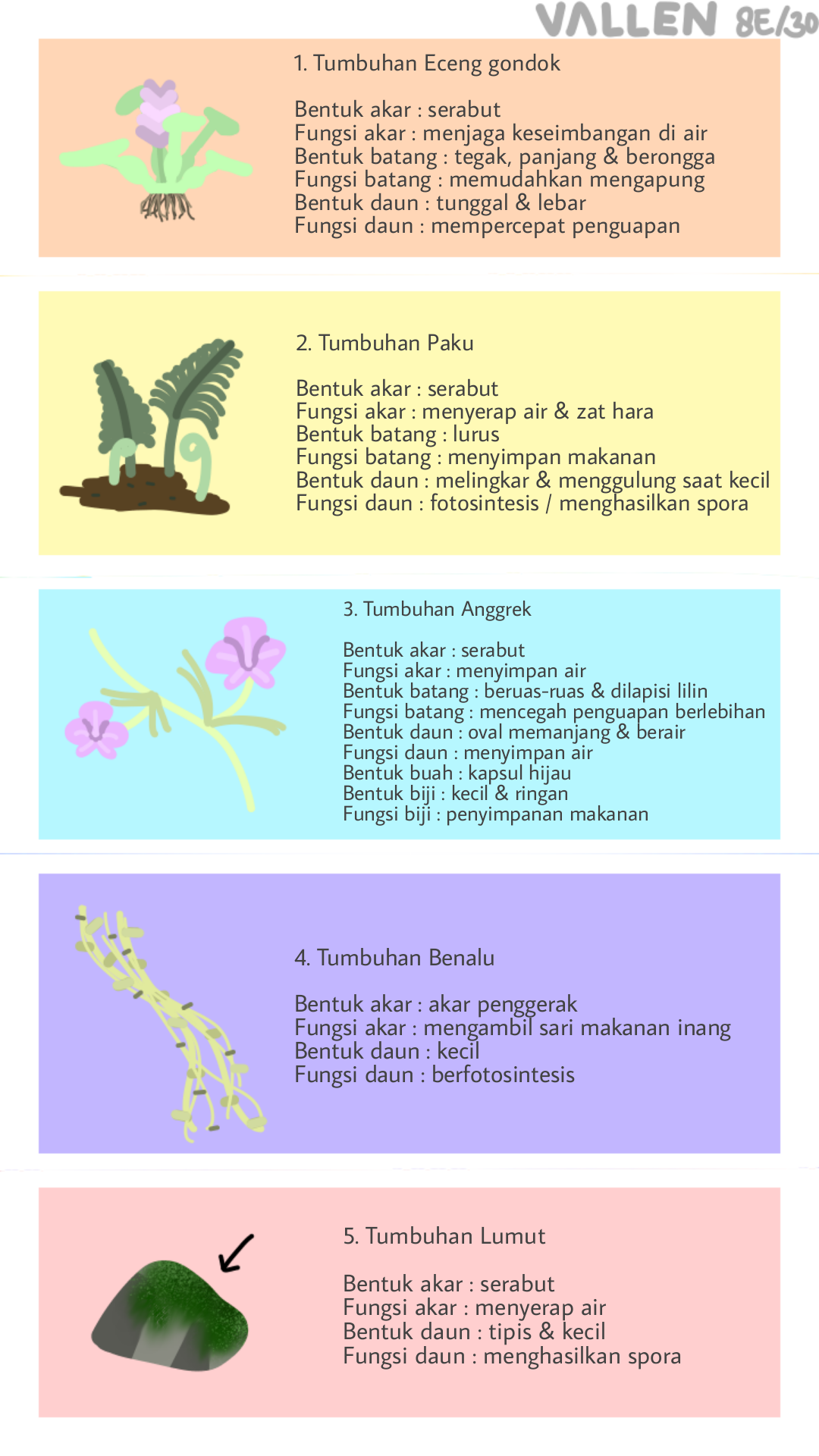 Sampul