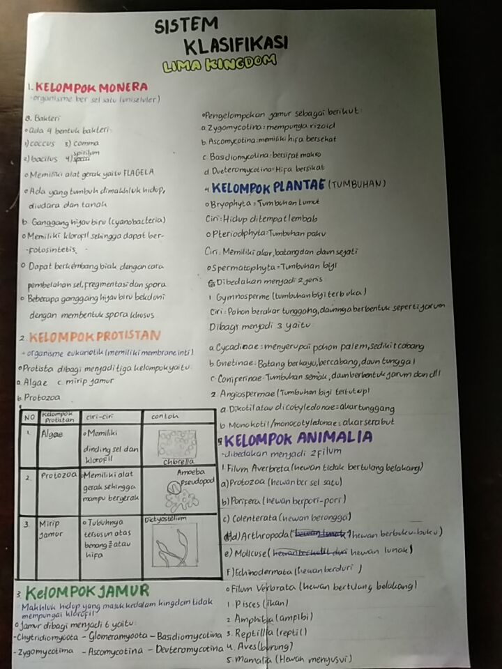 Sampul