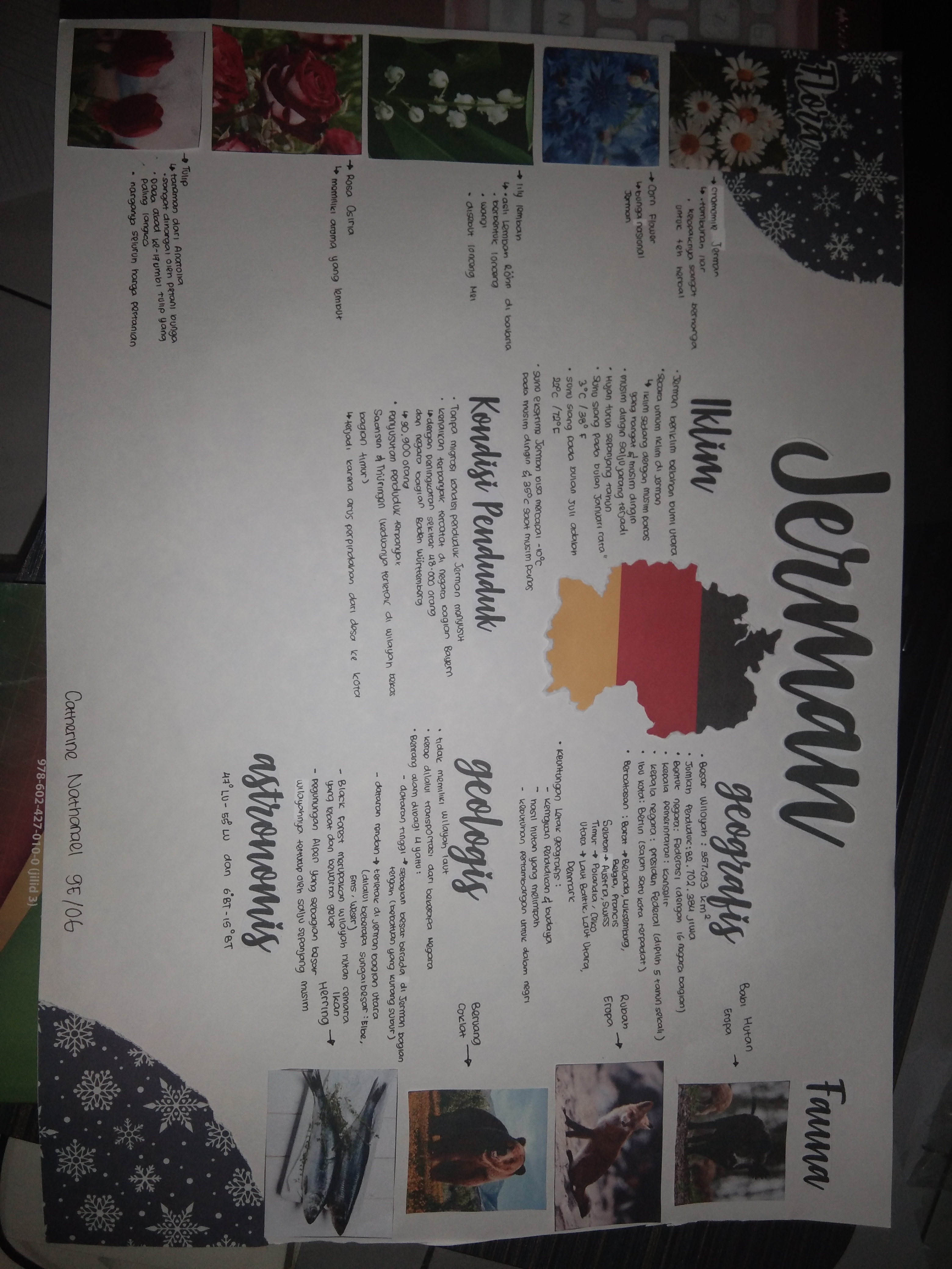 Sampul