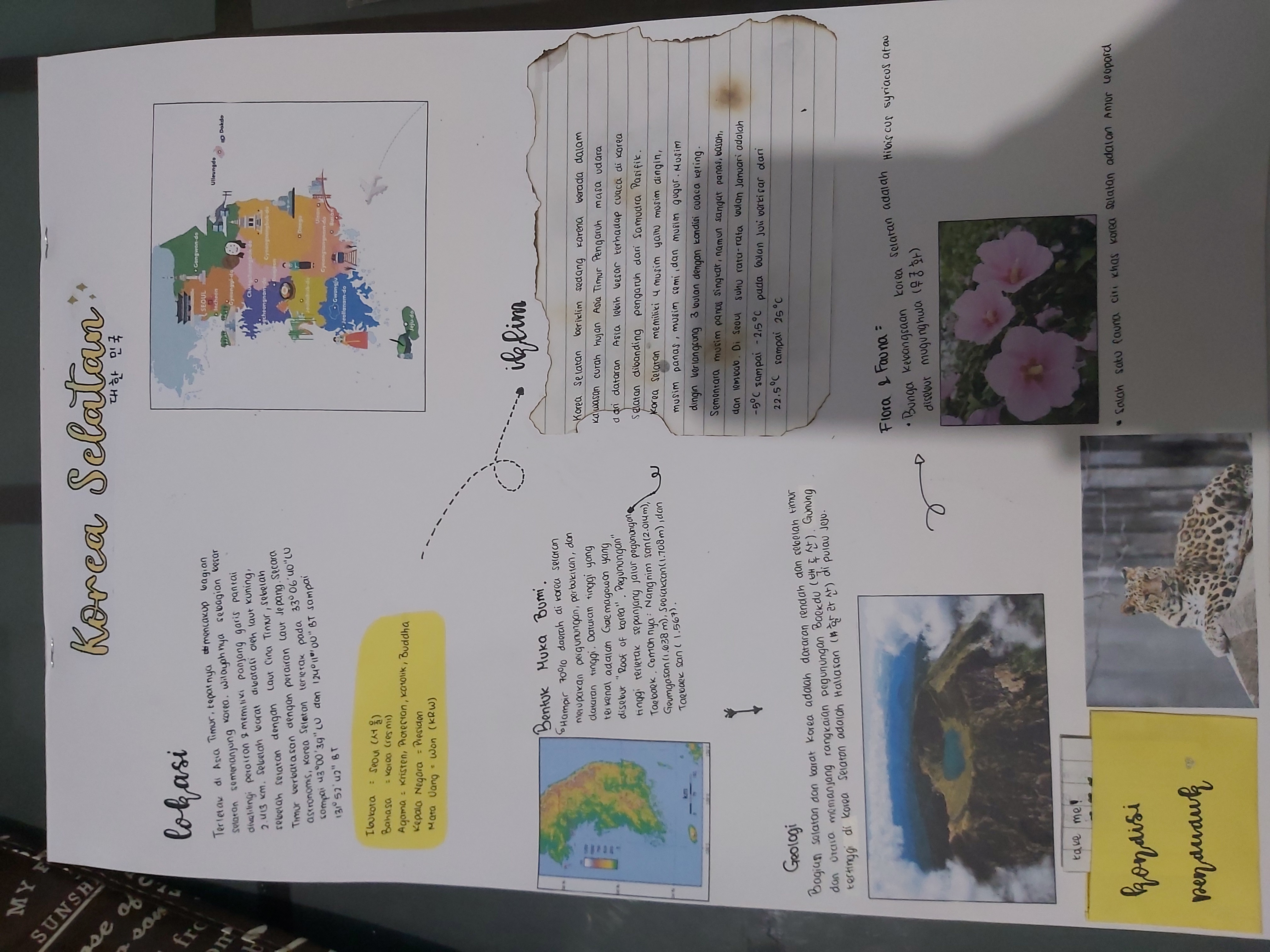 Sampul